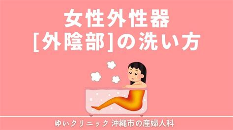 女の子の陰毛|女性の外性器